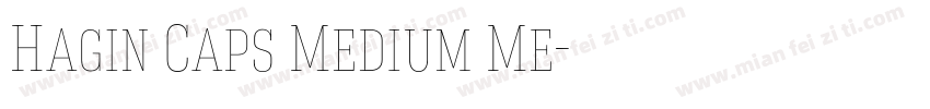 Hagin Caps Medium Me字体转换